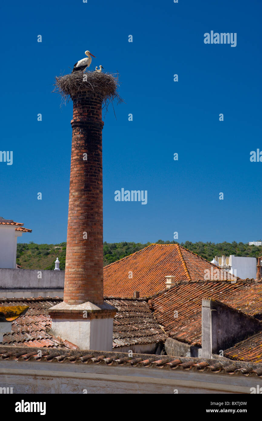 Il Portogallo Algarve, Silves, una cicogna il nido su un camino in disuso Foto Stock