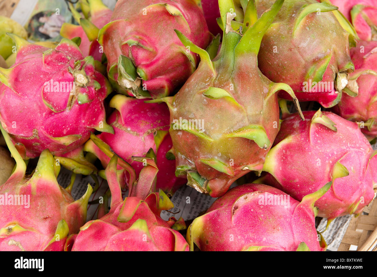 Green Dragon frutta, Hoi An, Vietnam Foto Stock