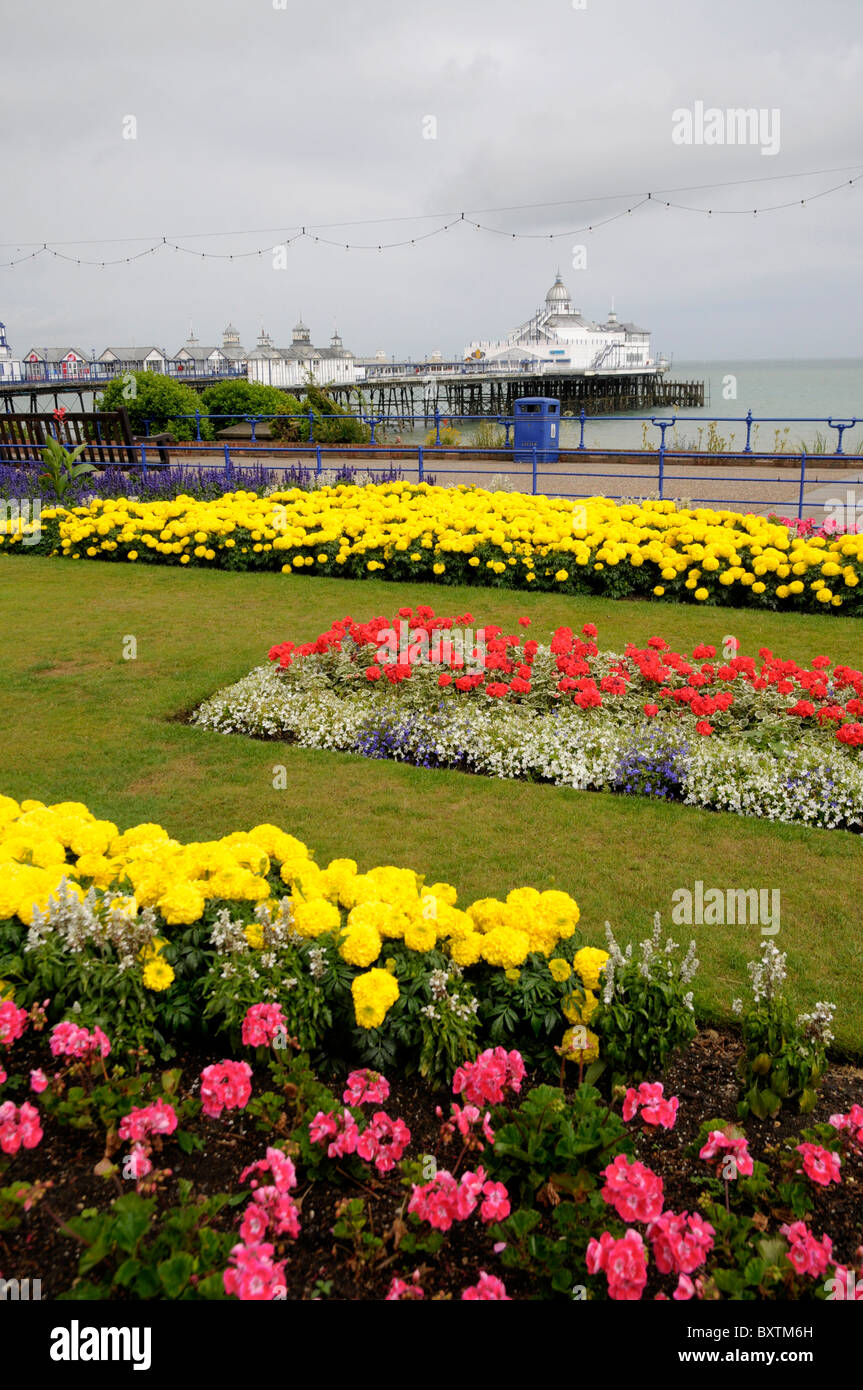 Giardini di fiori e il molo a Eastbourne Sussex Foto Stock