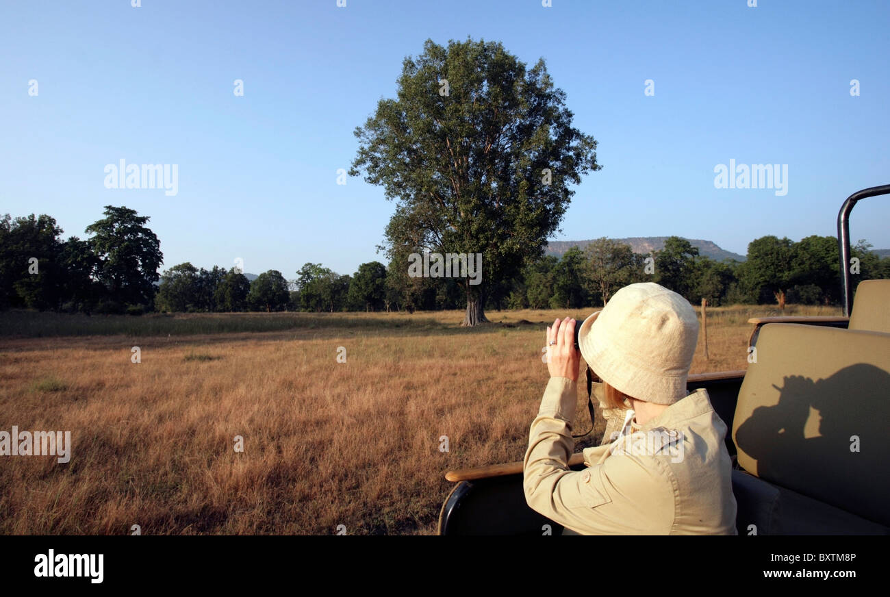 Donna in Khakis guardando attraverso il binocolo su Safari Foto Stock