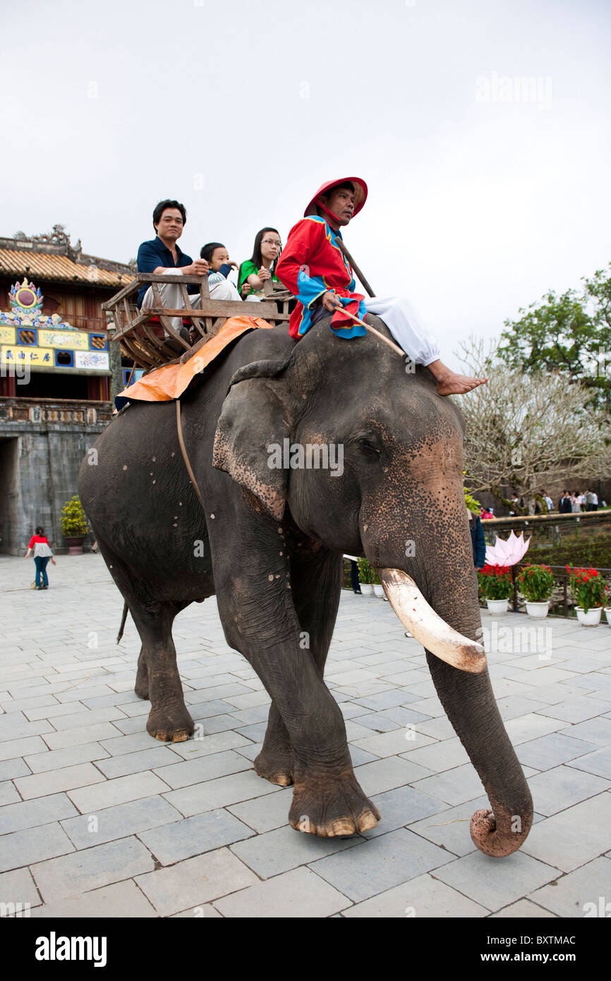 Equitazione turistica un elefante nella parte anteriore delle Ong Mon Gate, Città Imperiale, la Cittadella, la tinta, Vietnam Foto Stock