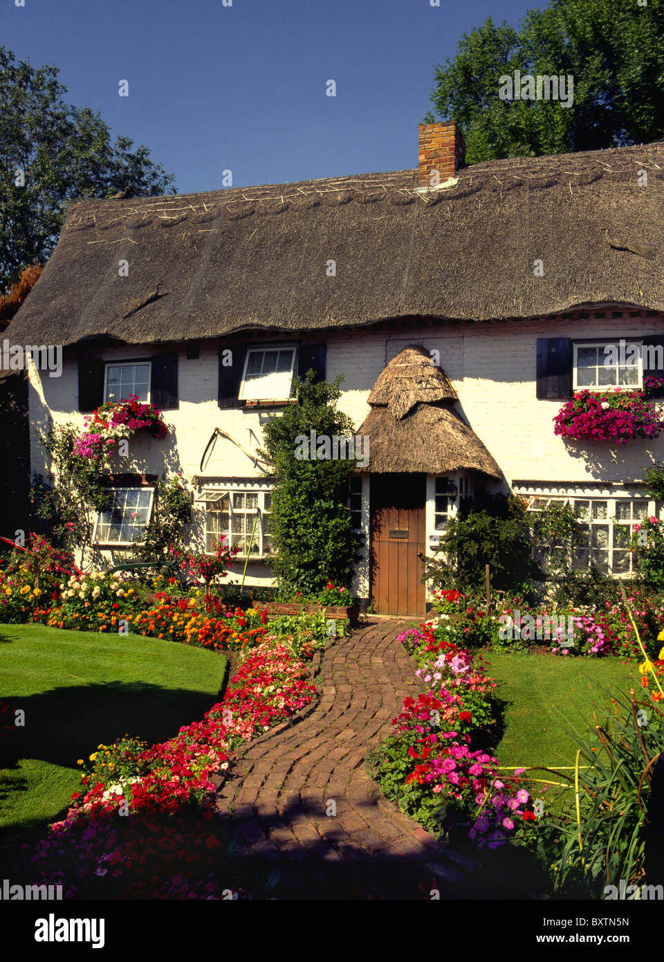 Europa, Regno Unito, Inghilterra, Surrey, cottage in paglia Foto Stock