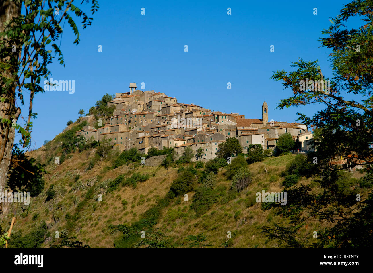 L'Europa, Italia, Toscana, Montelaterone Foto Stock