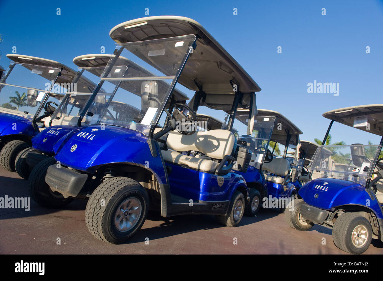 Marriott Doral Golf Resort & Spa , Miami , Florida , STATI UNITI , golf buggy da Blue Monster primo tee Foto Stock