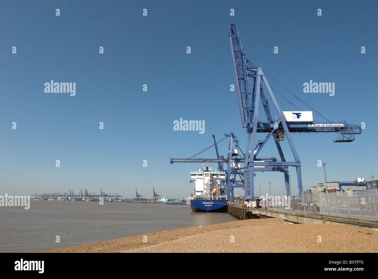 Porto di Felixstowe Suffolk REGNO UNITO Foto Stock