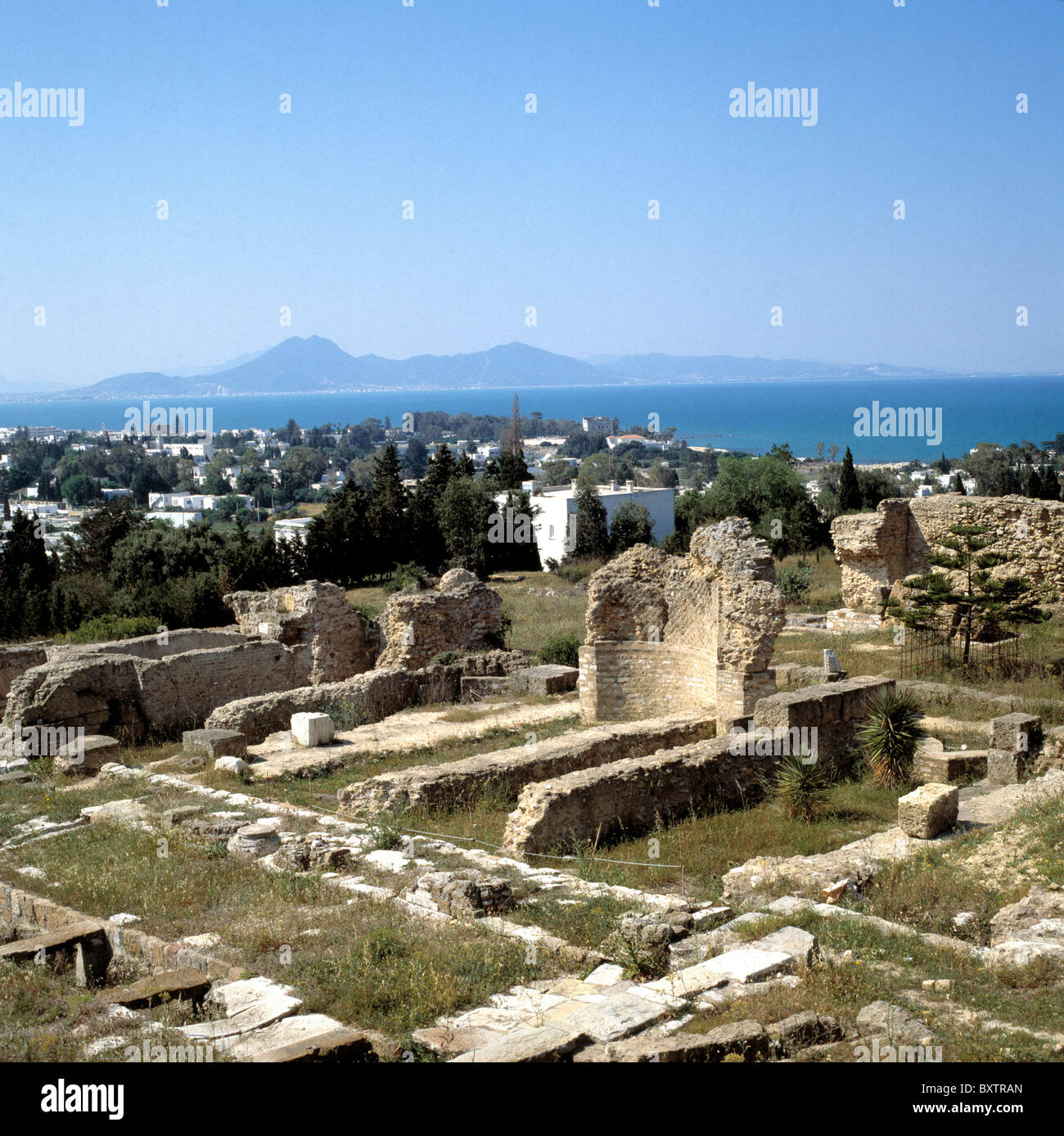 Panoramica delle rovine di Cartagine, Tunisia, con macchia mediterranea in background Foto Stock