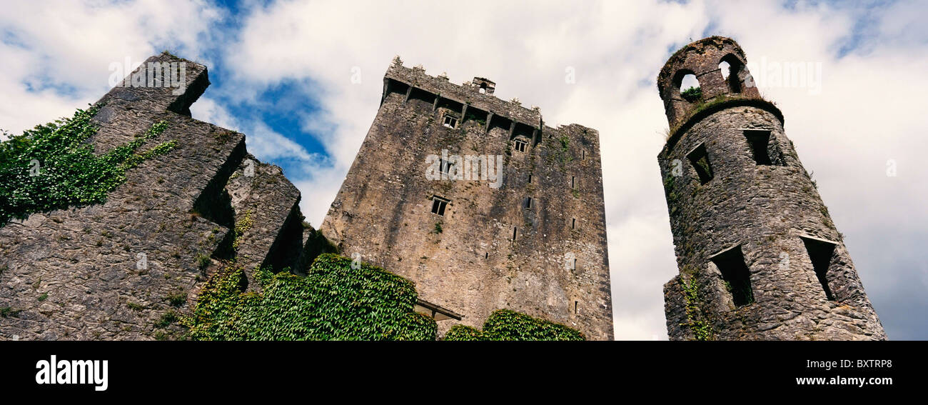 Blarney Castle, basso angolo di visione Foto Stock