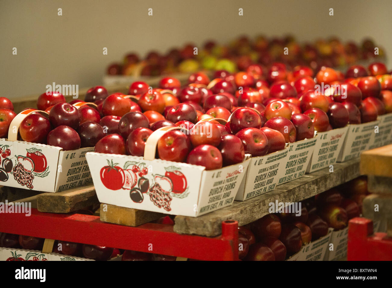 Mele confezionate per la vendita Foto Stock