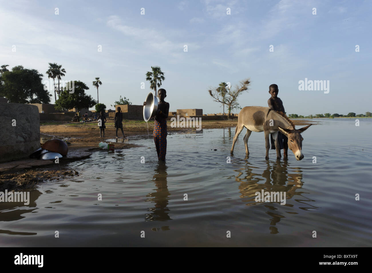 Ragazzi e asino in piedi nell'acqua del Fiume Bani vicino a Djenné, Mali Foto Stock