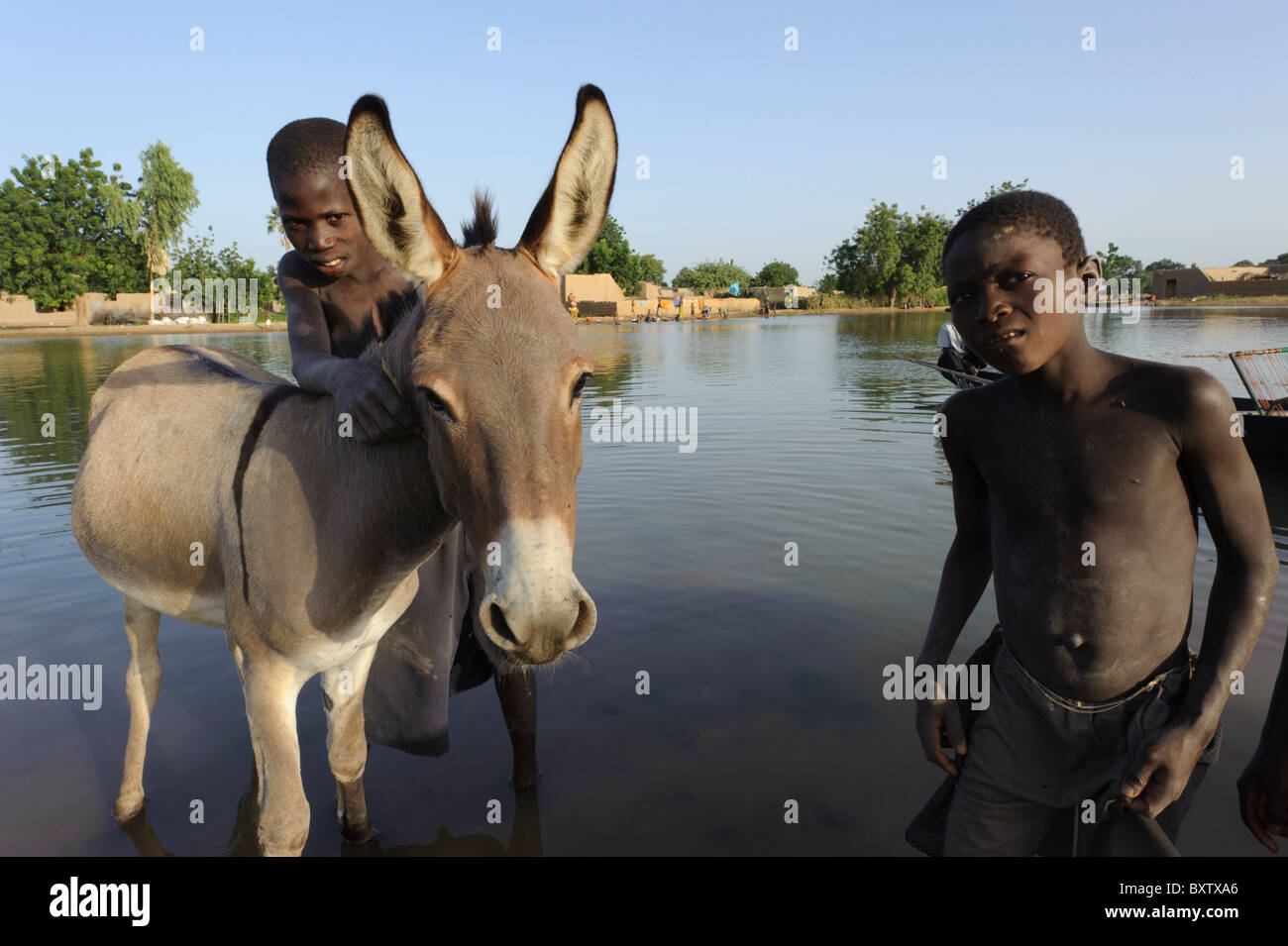 Ragazzi e asino in piedi nell'acqua del Fiume Bani vicino a Djenné, Mali Foto Stock