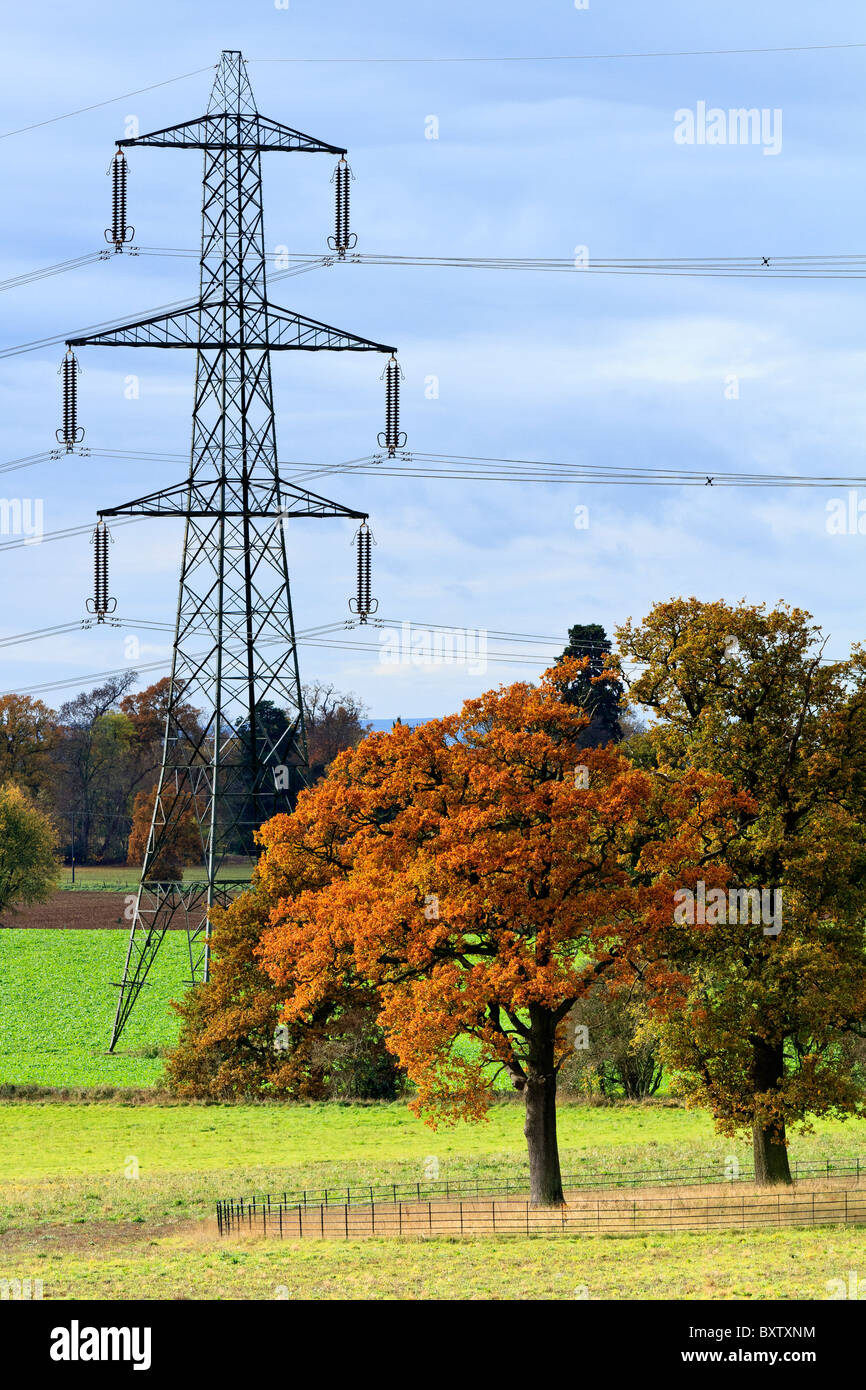 Berkshire REGNO UNITO le linee di alimentazione in autunno Foto Stock