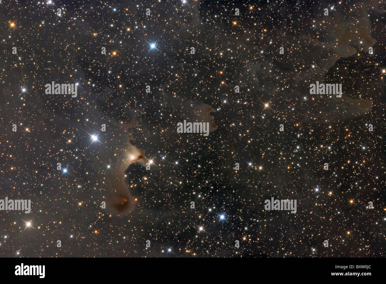 La nebulosa fantasma (vdB141) Foto Stock