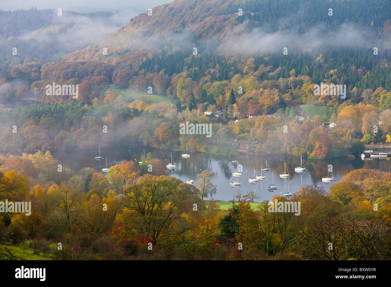 Caduto il parco del piede in autunno, Lago di Windermere, Cumbria, Inghilterra Foto Stock