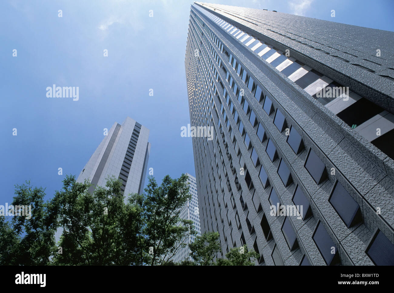 Edifici per uffici a Shinjuku e a basso angolo di visione Foto Stock