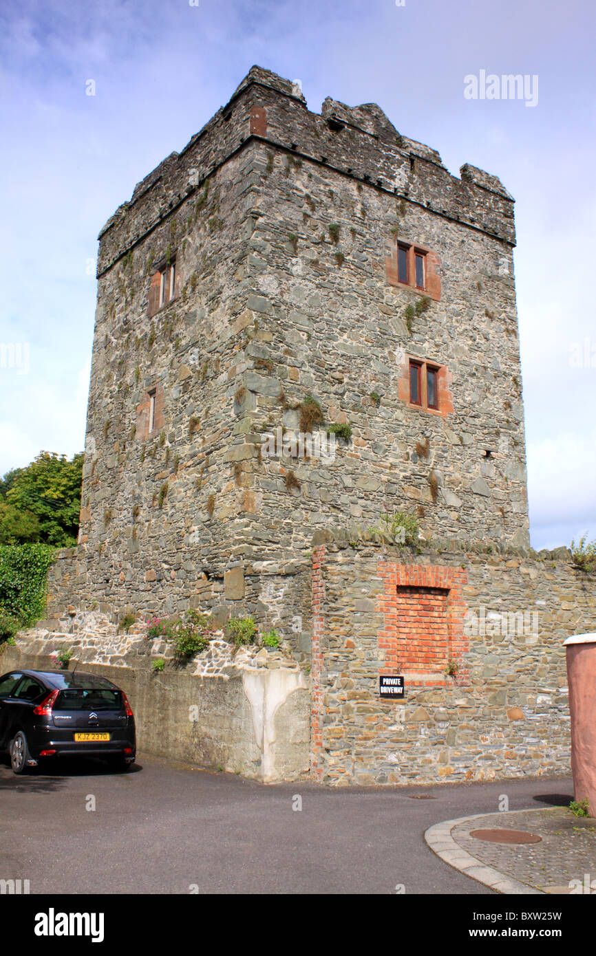 Il castello di Strangford nel villaggio di Strangford, County Down, Irlanda del Nord Foto Stock