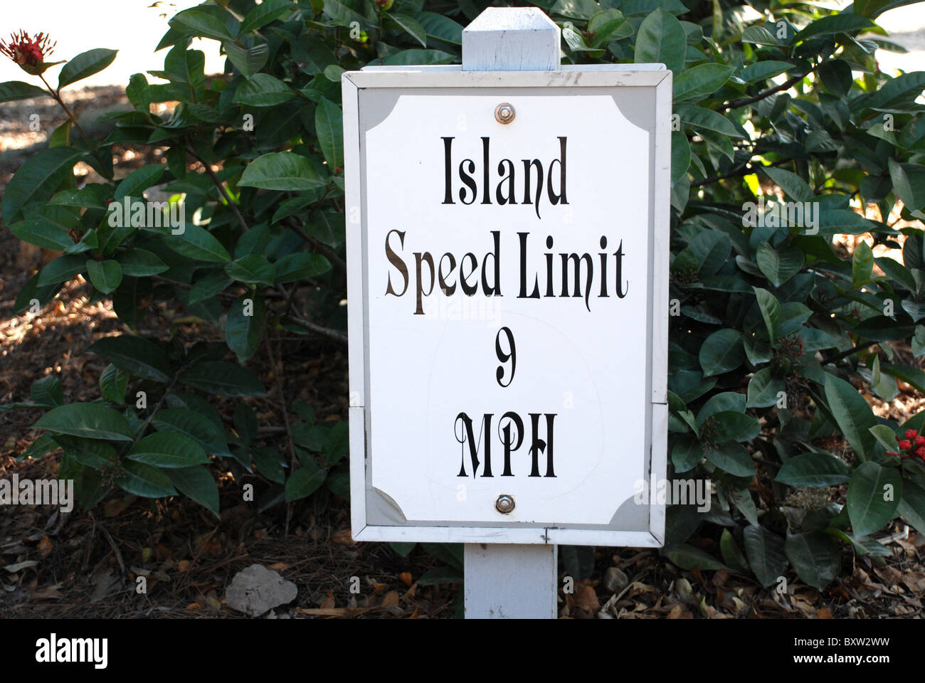 Segnale di limite di velocità su Useppa Island, un'isola privata in SW Florida accessibile solo in barca. Foto Stock