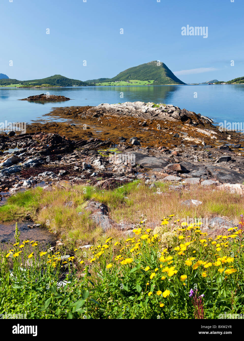 Paesaggi costieri in vista Steigen, Nordland, nel nord della Norvegia Foto Stock