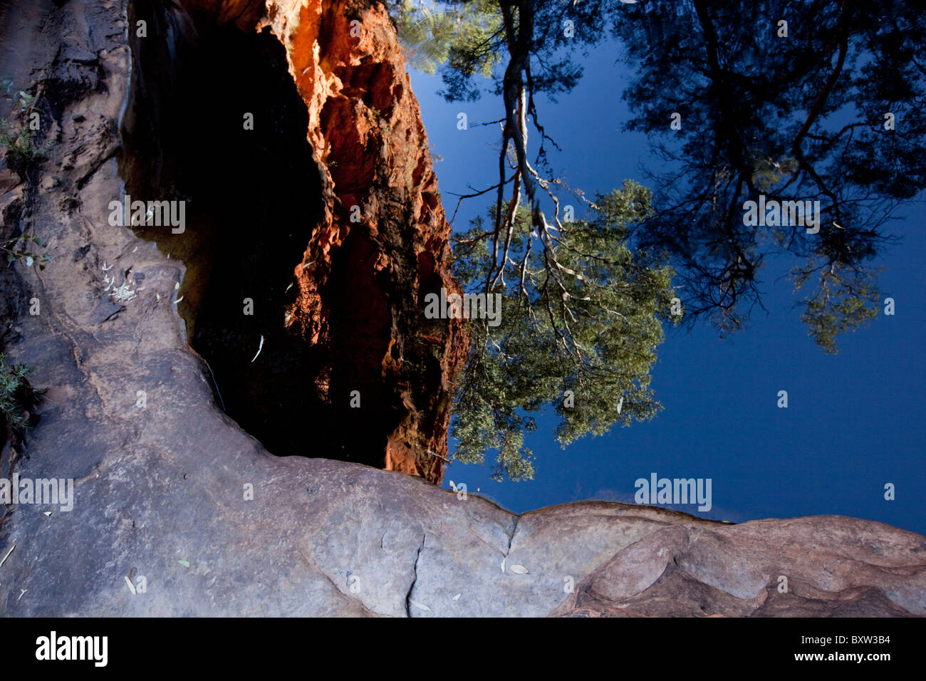 Australia Territorio del Nord Watarrka National Park la riflessione di eucalipto e scogliere pareti in primavera naturale di acqua Foto Stock