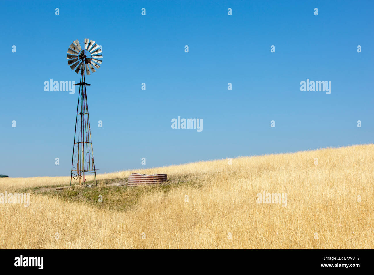 Australia, Victoria, Port Campbell, mulino a vento nel campo di grano in mattinata estiva Foto Stock