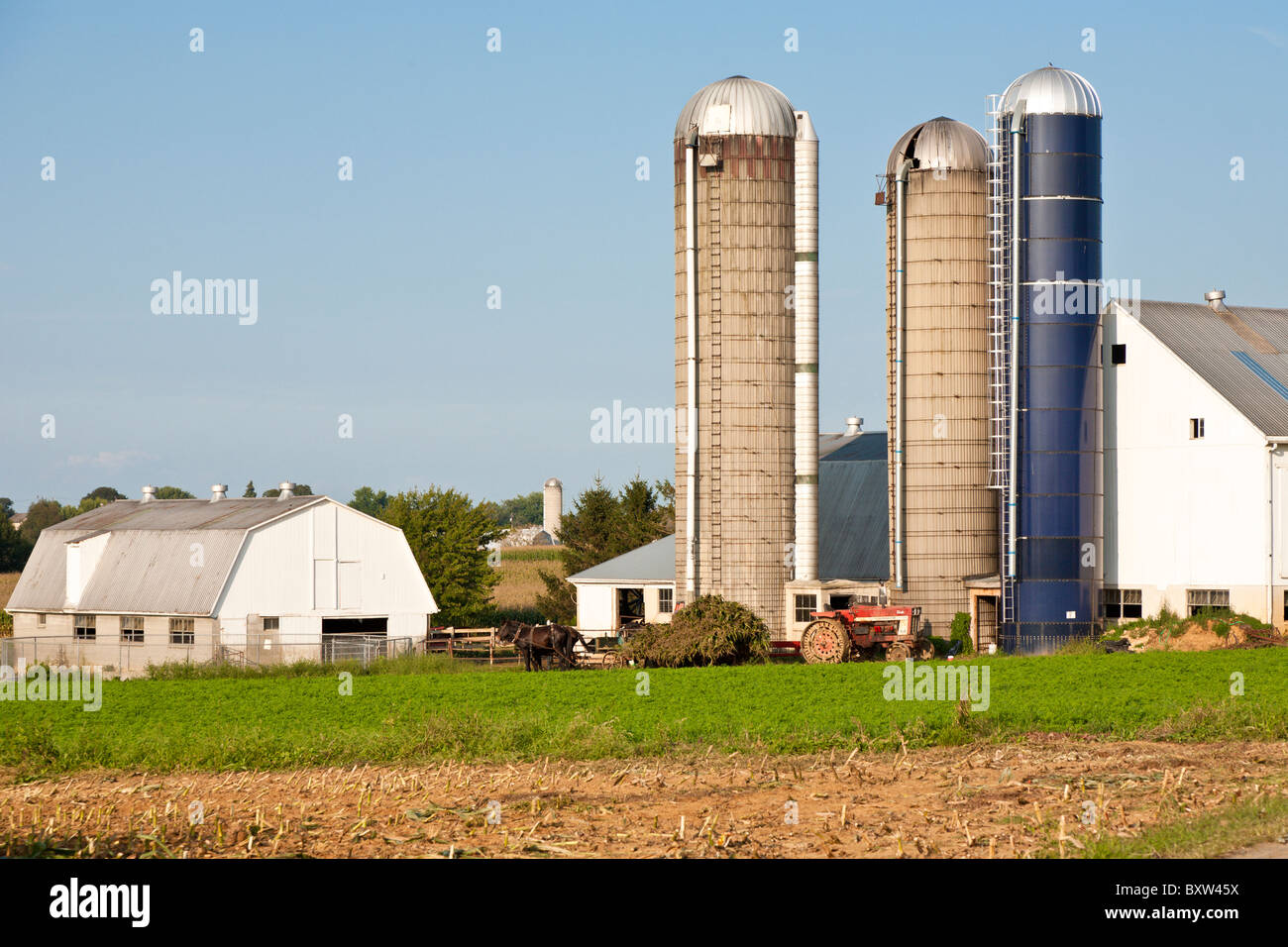 Gli agricoltori Amish mettendo il raccolto di mais in silos in Lancaster County, Pennsylvania Foto Stock