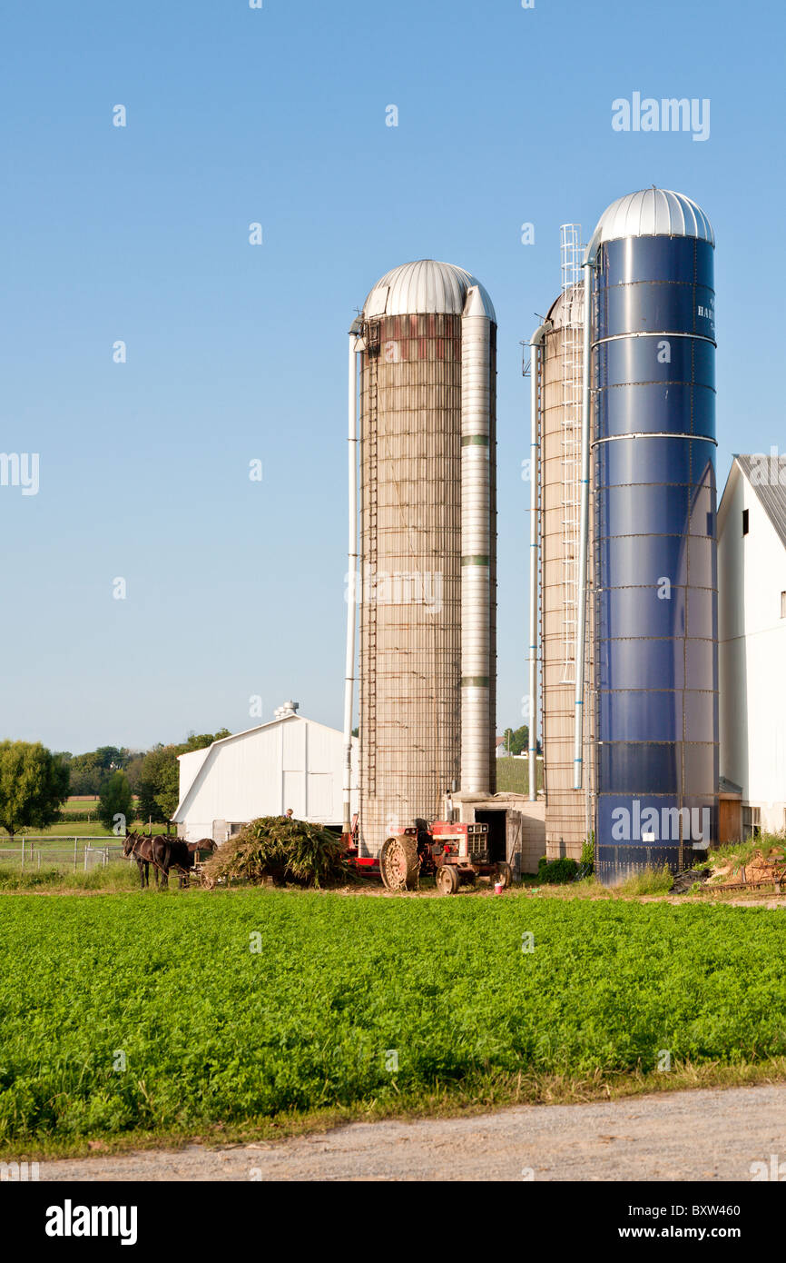 Gli agricoltori Amish mettendo il raccolto di mais in silos in Lancaster County, Pennsylvania Foto Stock