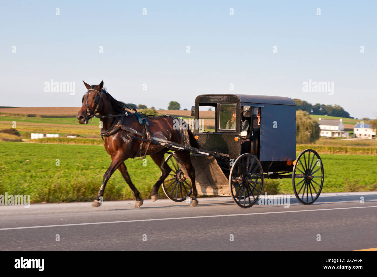 Cavallo e buggy è principale mezzo di trasporto per Amish in Lancaster County, Pennsylvania Foto Stock