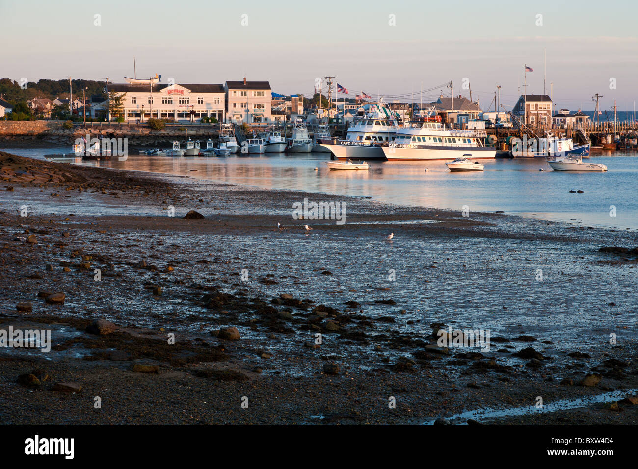 Il porto di Plymouth con la bassa marea la mattina presto in Plymouth Massachusetts Foto Stock