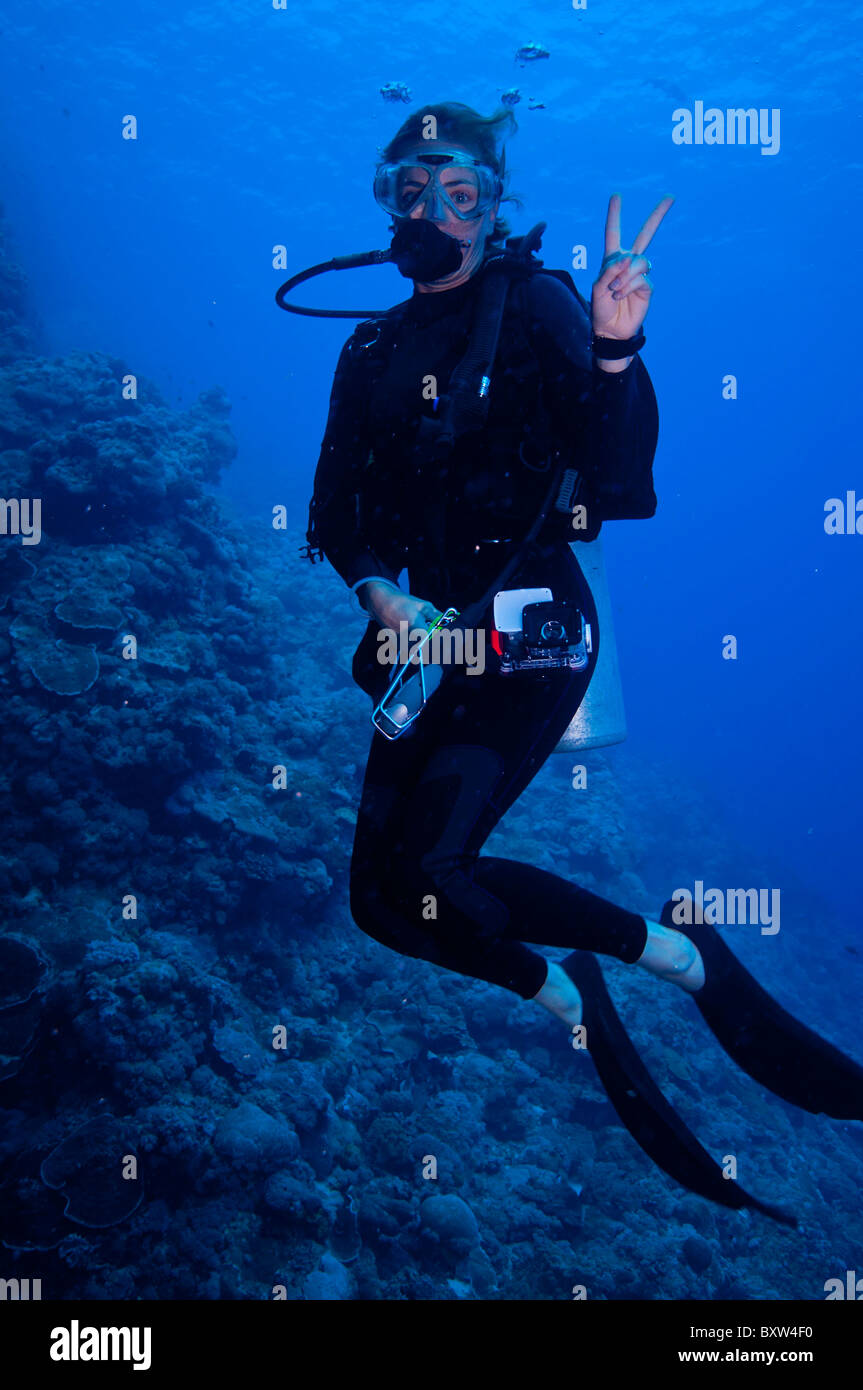 Diving la Grande Barriera Corallina Foto Stock