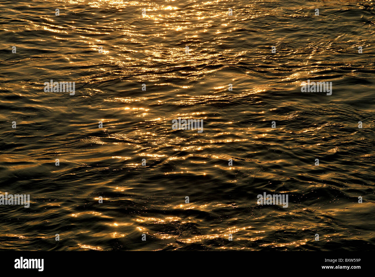 Backwaters al crepuscolo KERALA Foto Stock