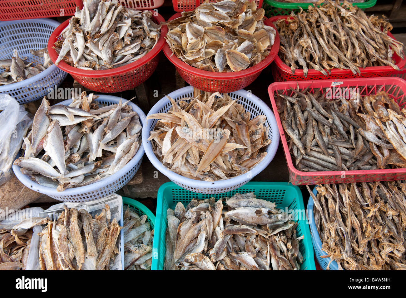 Mercato del Pesce, Vinh Long, Delta del Mekong, Vietnam Foto Stock