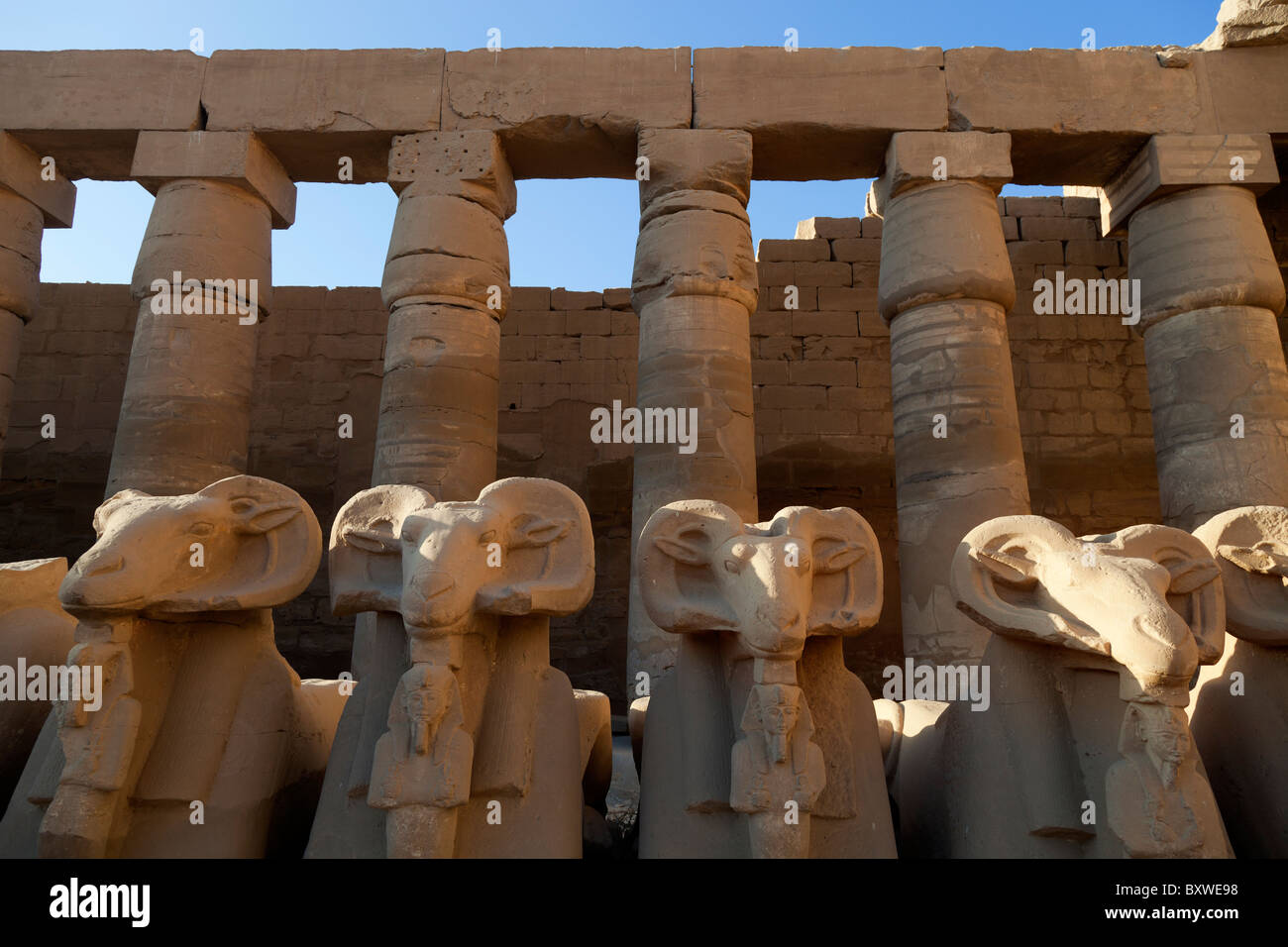 Tempio di Karnak e Luxor Egitto - avenue di montoni (Amon) Foto Stock