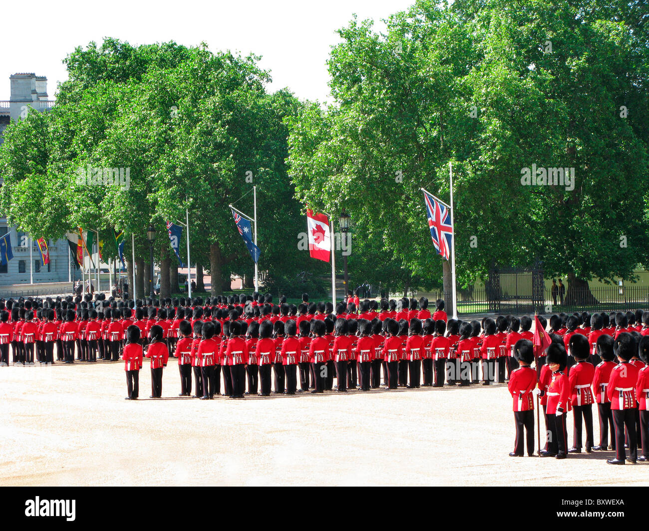 Troopng il colore,tradizionale , Londra,Uk,inglese evento annuale nella sfilata delle Guardie a Cavallo. Foto Stock