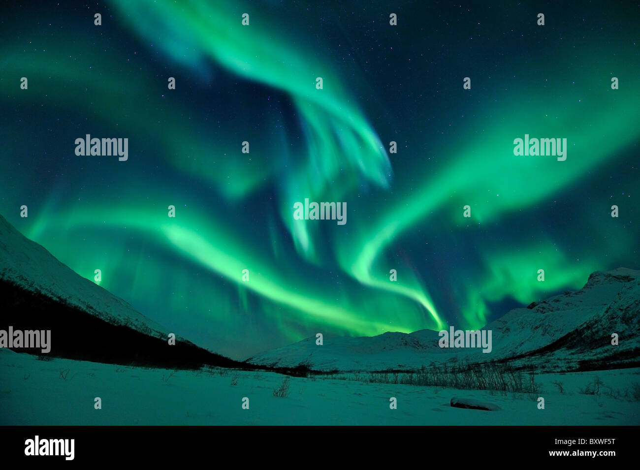 Luci del nord (Aurora Boreale) nel nord della Norvegia Foto Stock