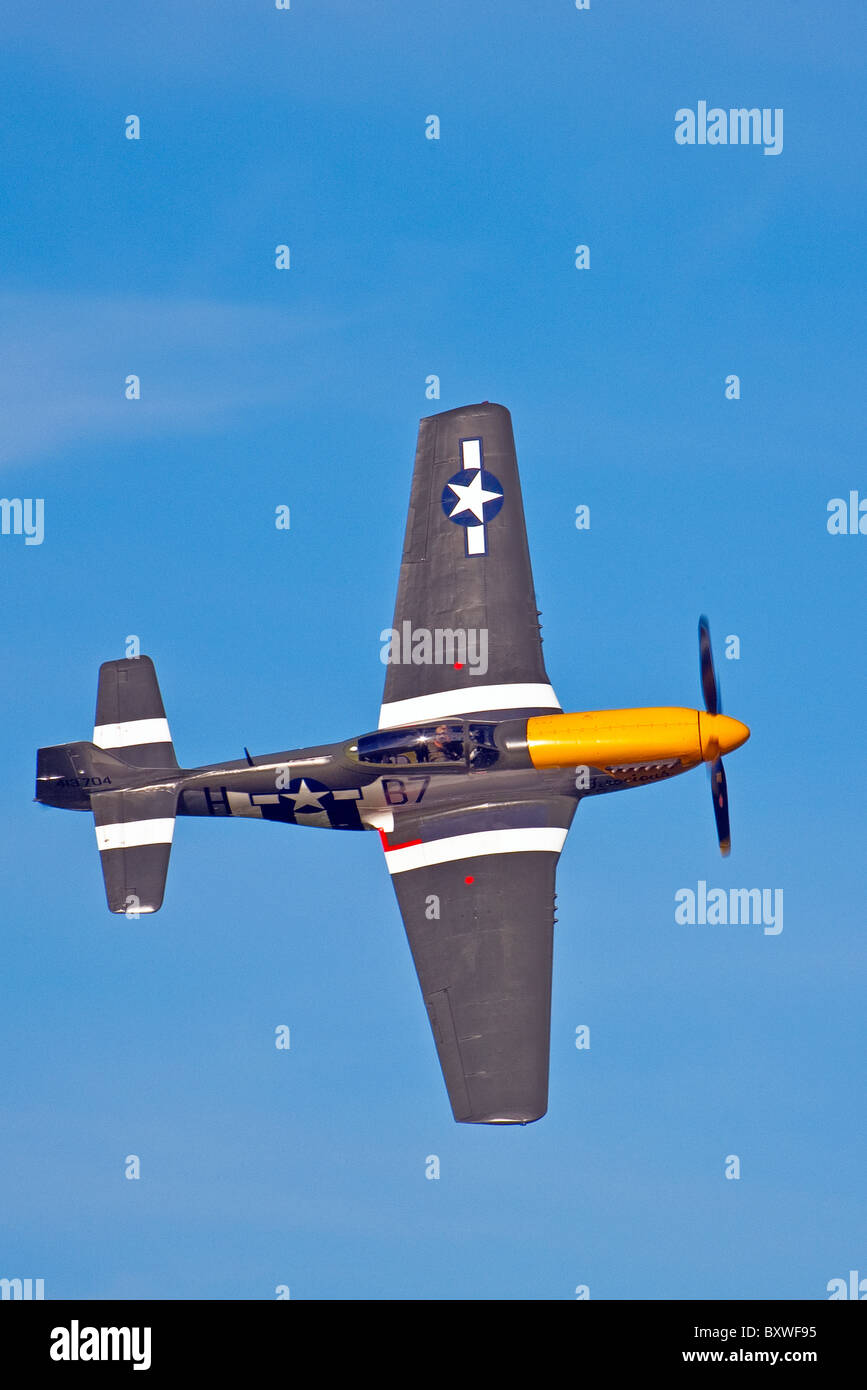 P51 Mustang 'feroce Frankie' display aeromobili al Goodwood 2010 Foto Stock