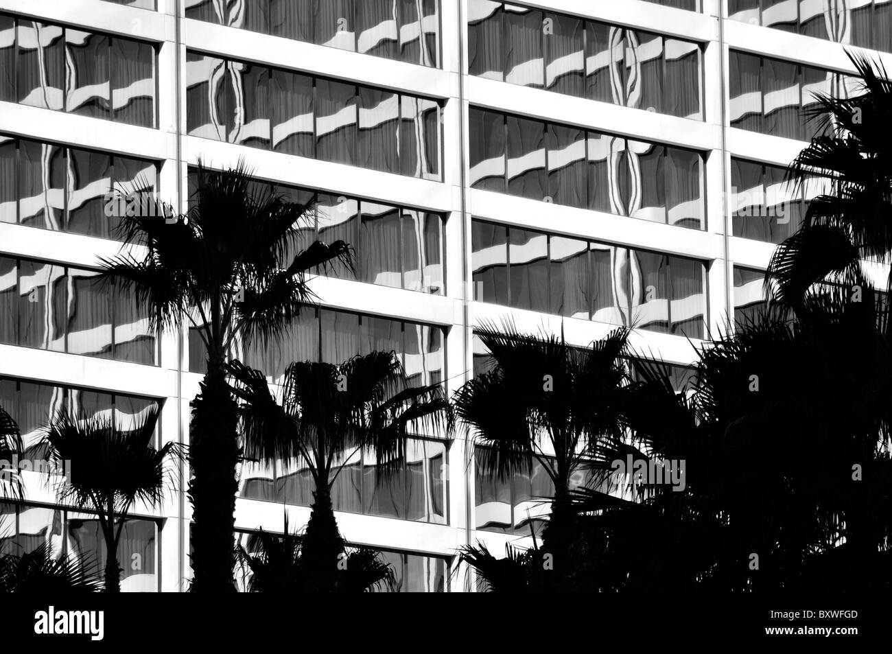 Sagome di alberi di palma e il Flamingo Hotel Casino Foto Stock