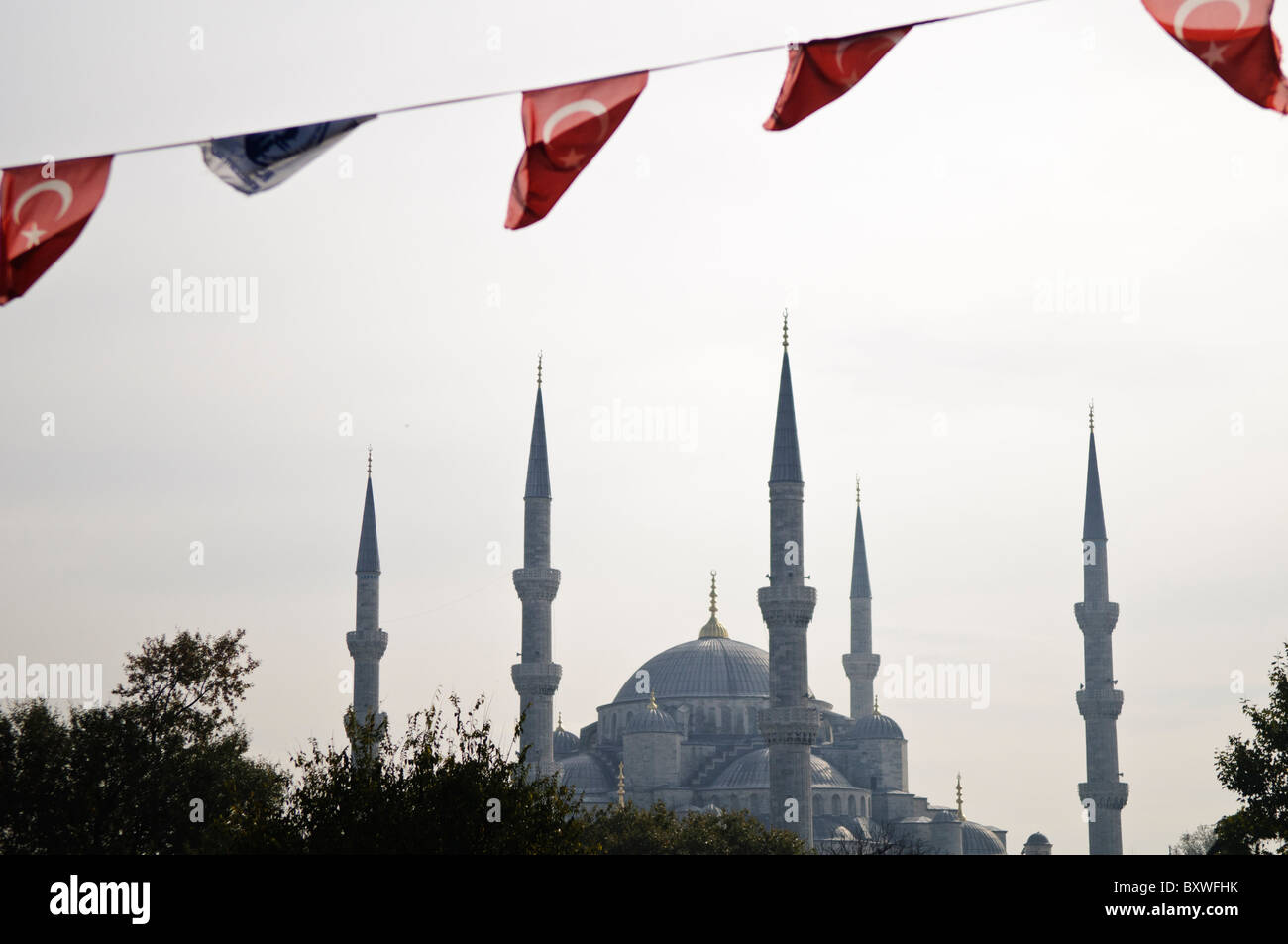 Moschea Blu Istanbul Turchia // ISTANBUL, Turchia - Moschea del Sultano Ahmed (turco: Sultanahmet Camii), conosciuta popolarmente come Moschea Blu, è una moschea musulmana (sunnita) nel centro del quartiere della città vecchia di Istanbul, Sultanahmet. Fu commissionato dal sultano Ahmed i e completato nel 1616. L'iconica struttura, con le sue cupole multiple e sei minareti torreggianti, è parzialmente oscurata dagli alberi in primo piano, mentre le bandiere turche sono visibili appese sulla parte superiore della cornice. Foto Stock Moschea Blu Istanbul Turchia // ISTANBUL, Turchia - Moschea del Sultano Ahmed (turco: Sultanahmet Camii), conosciuta popolarmente come Moschea Blu, è una moschea musulmana (sunnita) nel centro del quartiere della città vecchia di Istanbul, Sultanahmet. Fu commissionato dal sultano Ahmed i e completato nel 1616. L'iconica struttura, con le sue cupole multiple e sei minareti torreggianti, è parzialmente oscurata dagli alberi in primo piano, mentre le bandiere turche sono visibili appese sulla parte superiore della cornice. Foto Stock