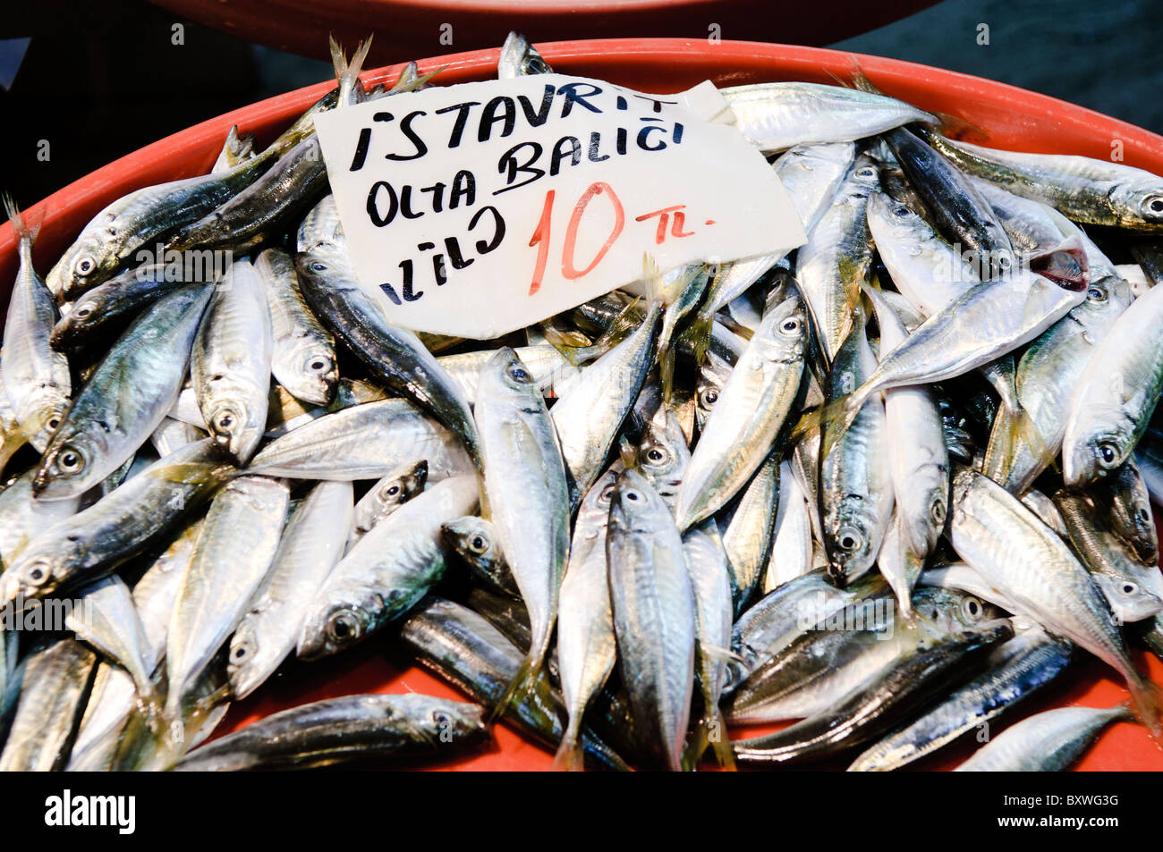 Pesce in vendita Bazaar delle spezie Istanbul // ISTANBUL, Turchia — pesce in vendita al Bazaar delle spezie (noto anche come Bazaar egiziano) a Istanbul. Il Bazar delle spezie, conosciuto localmente come Mısır Çarşısı, è uno dei più antichi mercati coperti di Istanbul, originariamente costruito nel XVII secolo come parte del complesso della nuova Moschea. Mentre tradizionalmente famoso per le spezie, la frutta secca e le delizie turche, il bazar ospita anche venditori di pesce fresco e altri prodotti locali. Il mercato serve sia come principale destinazione turistica che come mercato funzionante per la gente del posto. Situato nel quartiere di Eminönü, vicino al Gol Foto Stock