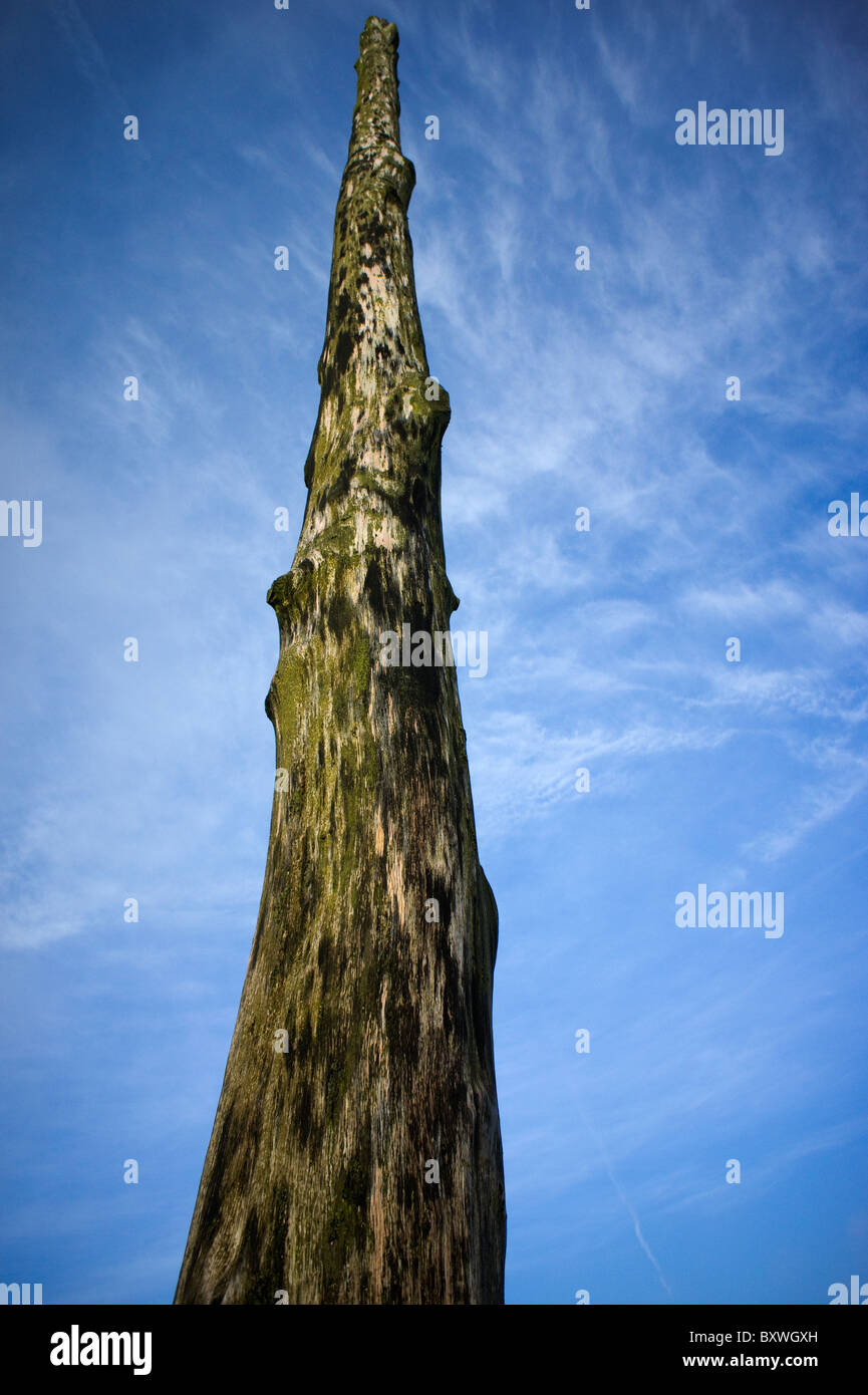 Il palo di legno sul Longshaw Station Wagon nel Derbyshire Foto Stock