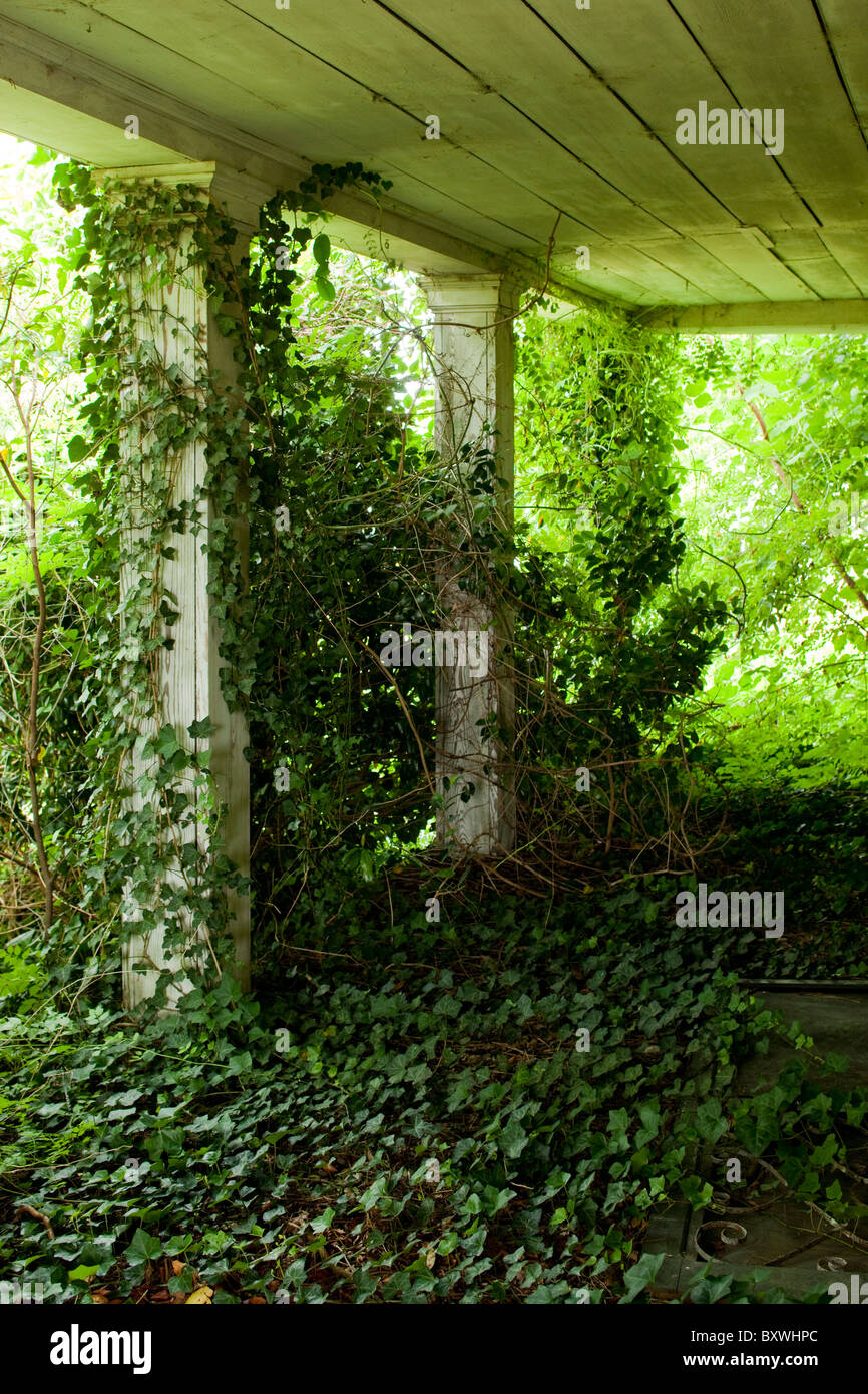 Stati Uniti d'America, North Carolina, armature, abbandonato agriturismo portico coperto di vigne di edera Foto Stock