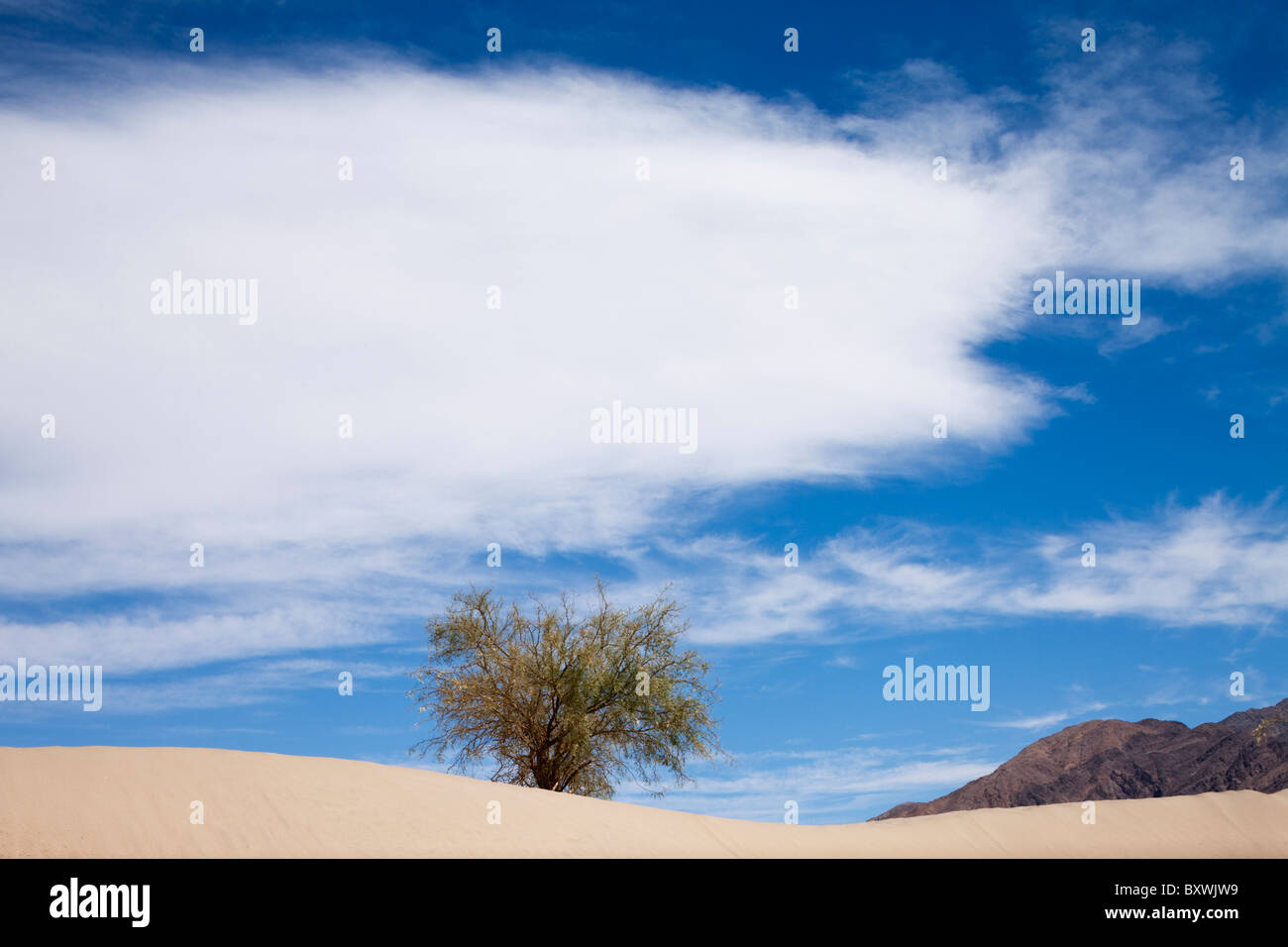 Stati Uniti, California, Parco Nazionale della Valle della Morte, le dune di sabbia vicino a tubo da stufa pozzi nel deserto di Mojave sul giorno di estate Foto Stock