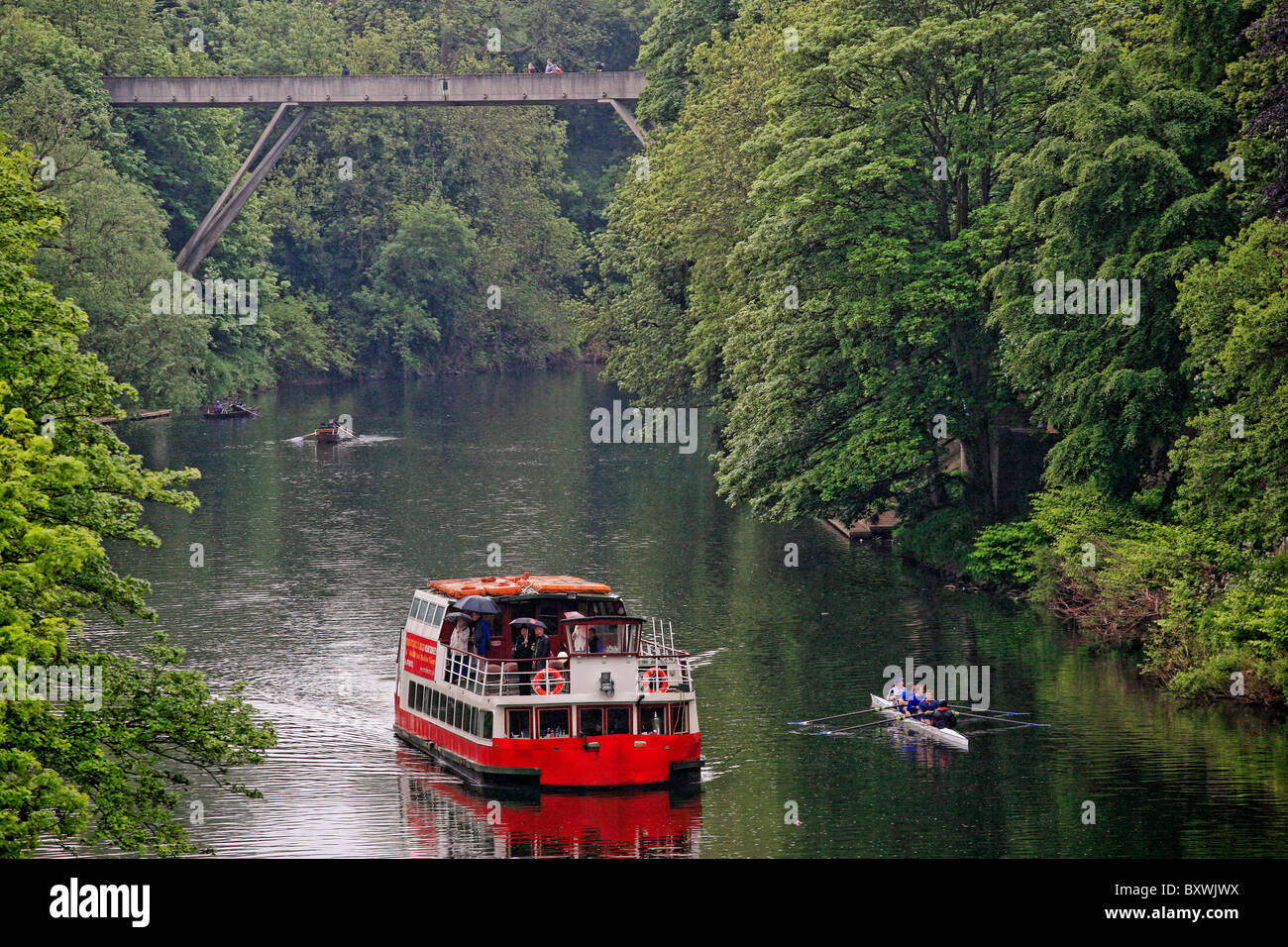 Il principe vescovo barca sul fiume usura, Durham, Inghilterra Foto Stock