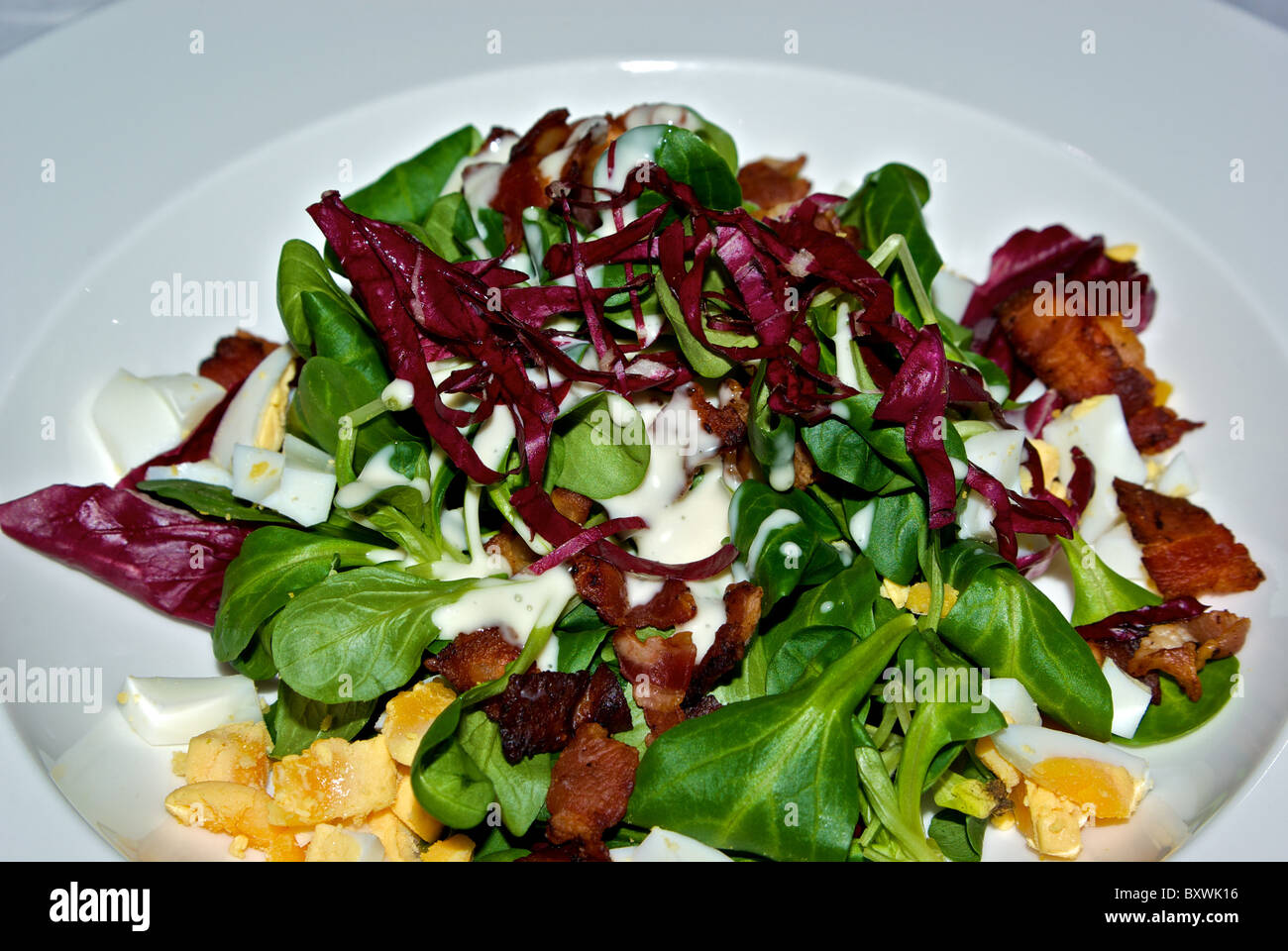 Agnello, insalata di lattuga con un trito di hard uovo cotto pancetta croccante radiccio rosso antipasto di medicazione Foto Stock