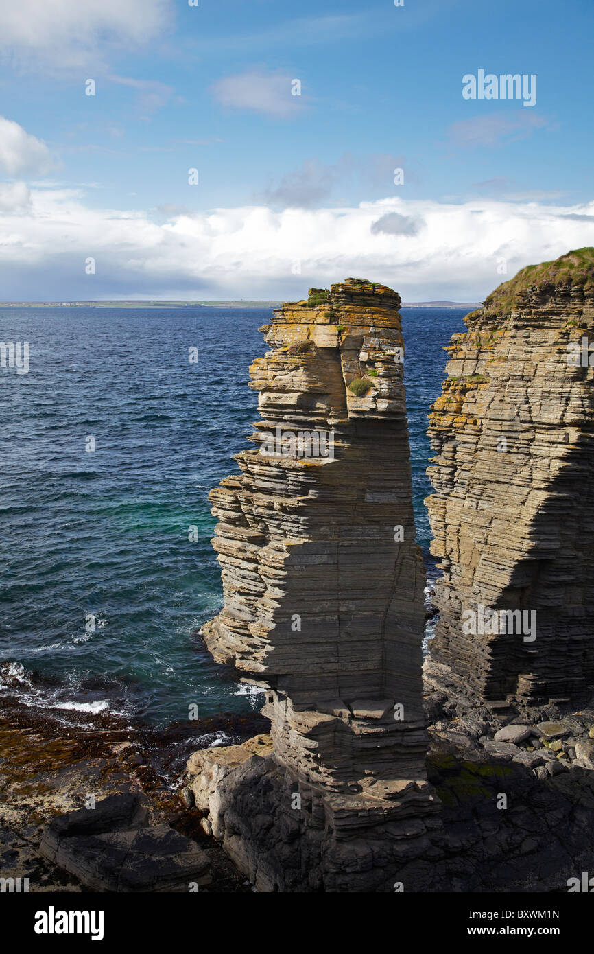 Pile di mare, vicino Noss Head, Wick, Caithness, Highlands, Scotland, Regno Unito Foto Stock