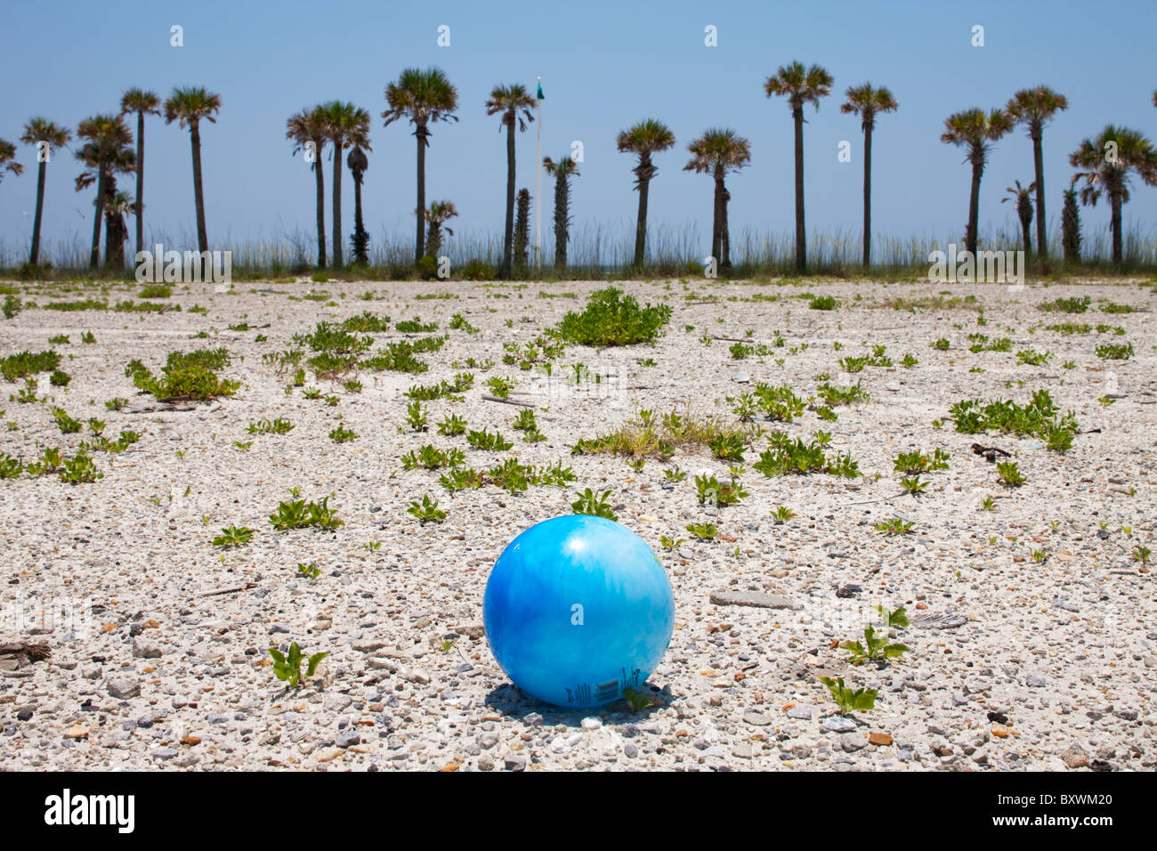 Stati Uniti d'America, Florida, Panama City Beach, palme e abbandonata palla spiaggia sul lotto vacante lungo il Golfo del Messico in estate nel pomeriggio Foto Stock