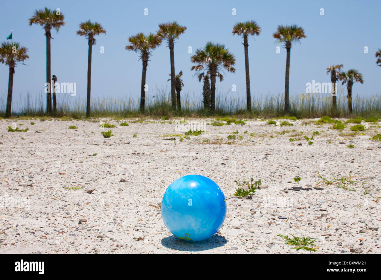 Stati Uniti d'America, Florida, Panama City Beach, palme e abbandonata palla spiaggia sul lotto vacante lungo il Golfo del Messico in estate nel pomeriggio Foto Stock