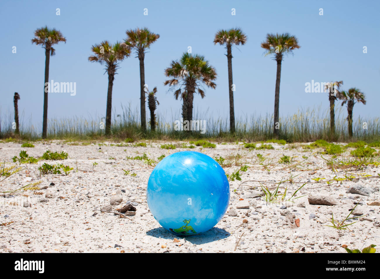 Stati Uniti d'America, Florida, Panama City Beach, palme e abbandonata palla spiaggia sul lotto vacante lungo il Golfo del Messico in estate nel pomeriggio Foto Stock