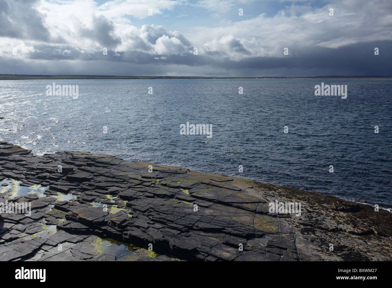 Roccia erosa costa vicino Noss Head, Wick, Caithness, Highlands, Scotland, Regno Unito Foto Stock