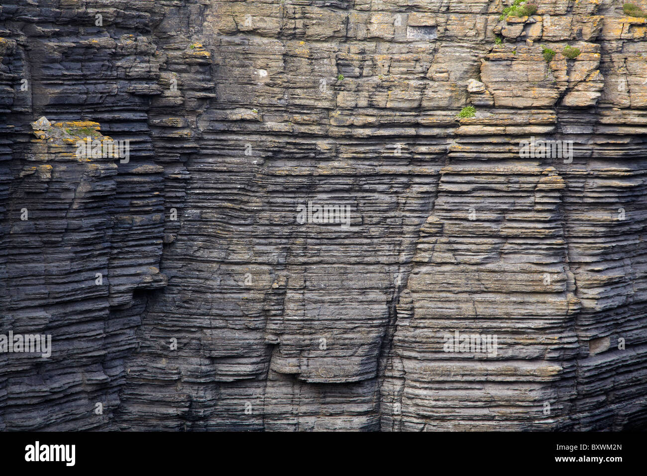 Gli strati nella pila di mare, vicino Noss Head, Wick, Caithness, Highlands, Scotland, Regno Unito Foto Stock