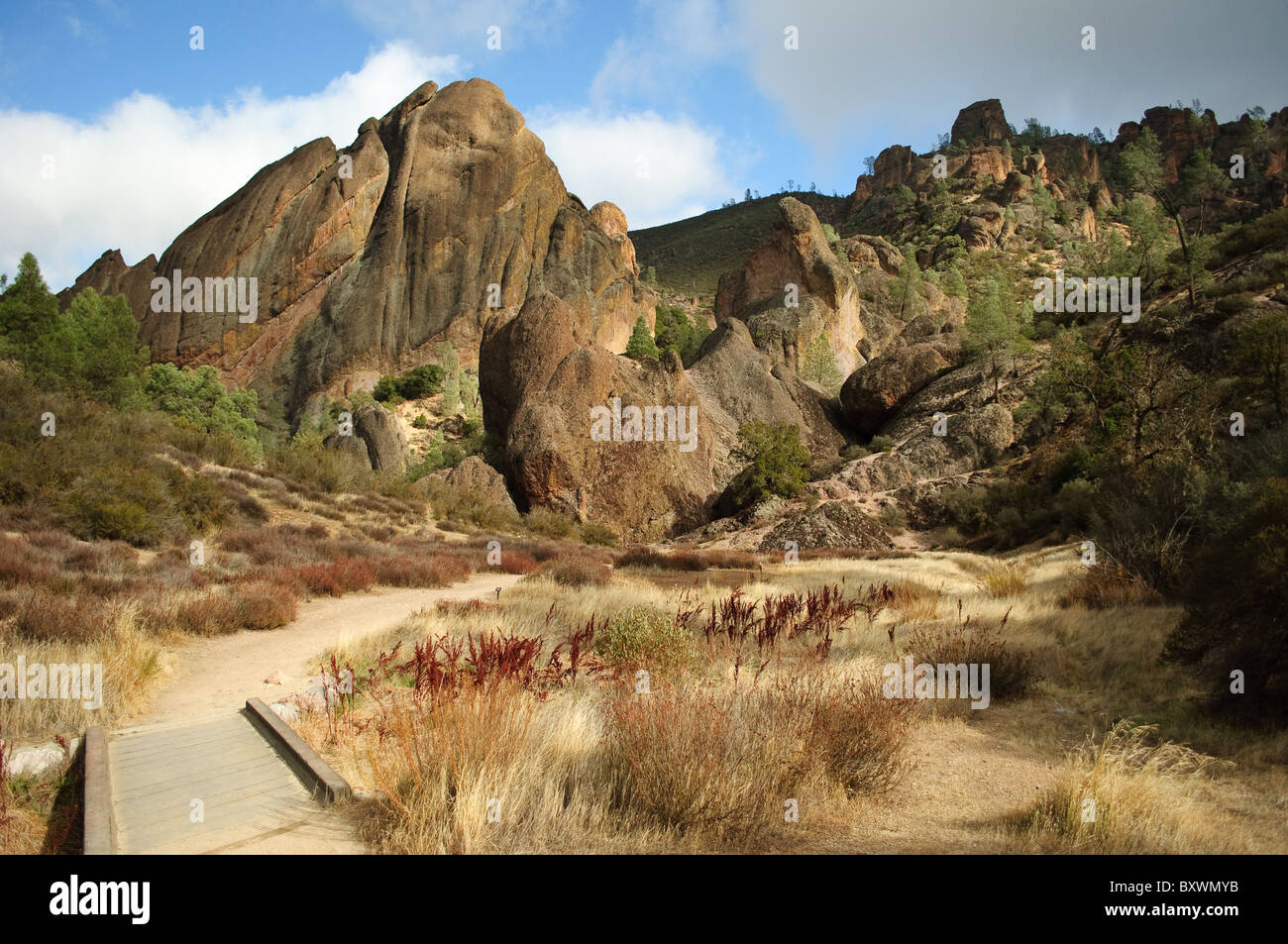 Immagine di panorama di pista di testa in corrispondenza di pinnacoli del Parco Nazionale Foto Stock