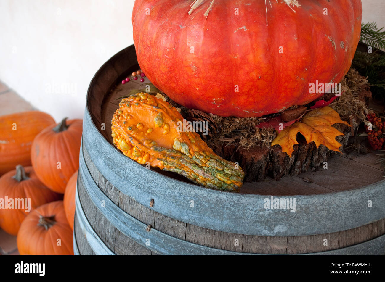 Grande zucca zucca e pigne sul barile di legno Foto Stock